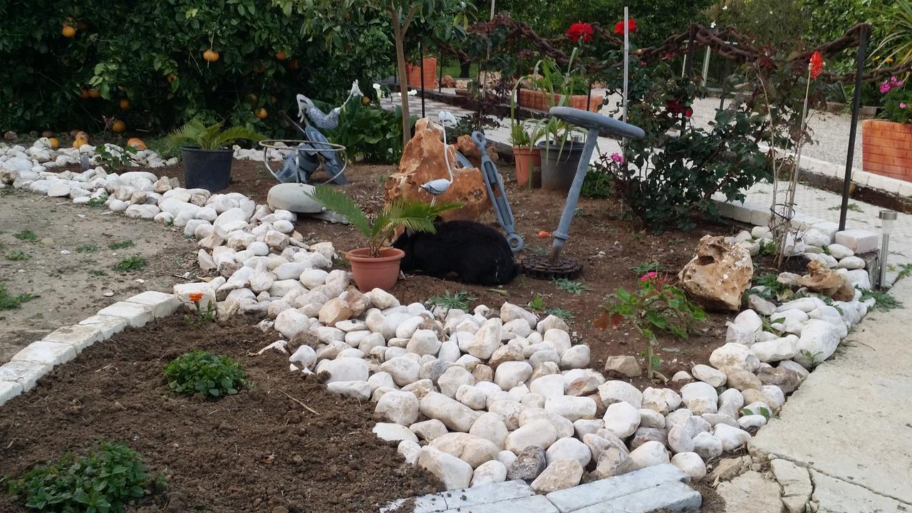 Вилла Asbn Magic Garden Акко Экстерьер фото