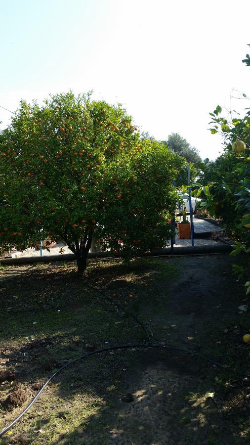 Вилла Asbn Magic Garden Акко Экстерьер фото