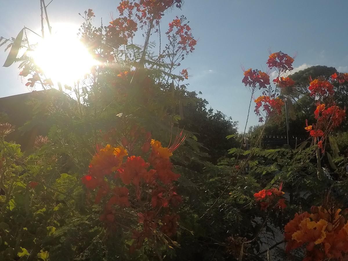 Вилла Asbn Magic Garden Акко Экстерьер фото