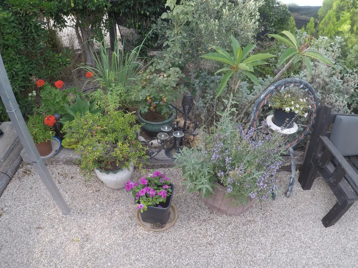 Вилла Asbn Magic Garden Акко Экстерьер фото